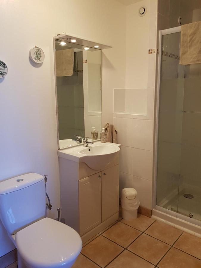 Les Trois Lions Apartment Foix Exterior photo