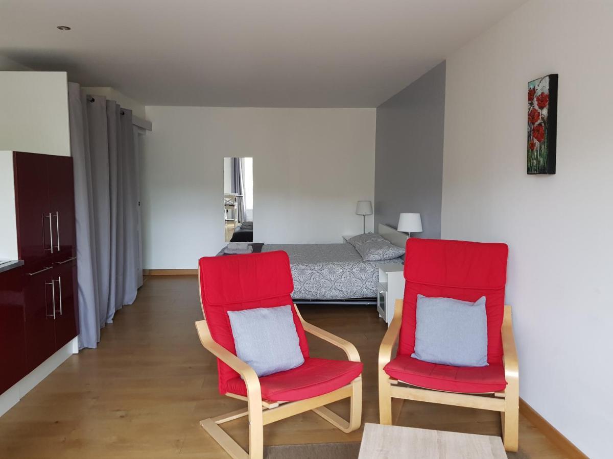 Les Trois Lions Apartment Foix Exterior photo