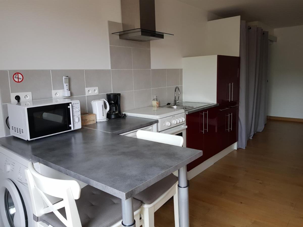 Les Trois Lions Apartment Foix Exterior photo